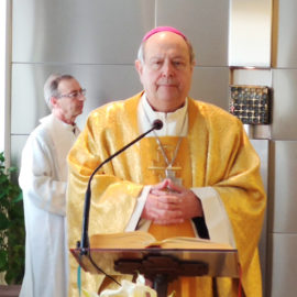 L’Unitalsi Lombarda in videoconferenza con S.E. Mons. Oscar Cantoni, Vescovo di Como